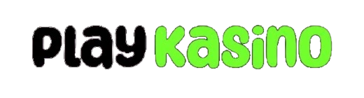 PlayKasino logo