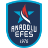 Anadolu Efes
